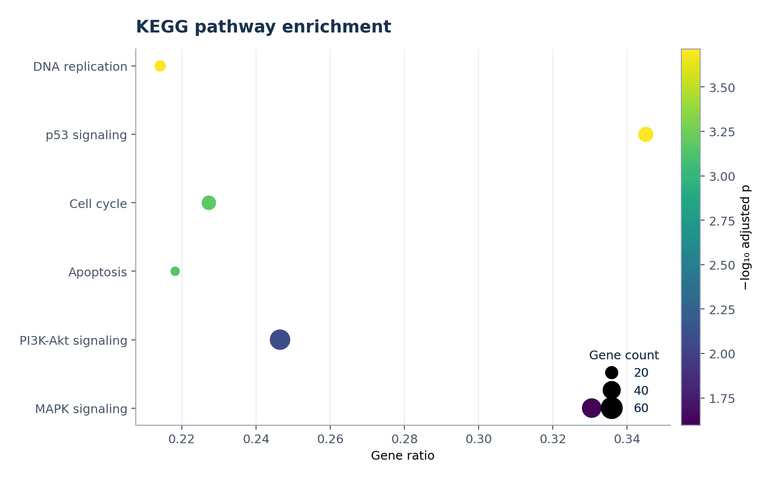 Enriquecimiento de vías KEGG — Carga el conjunto «Enriquecimiento de vías KEGG» en Generador de gráficos de enriquecimiento, genera la figura y personalízala en SciVis.