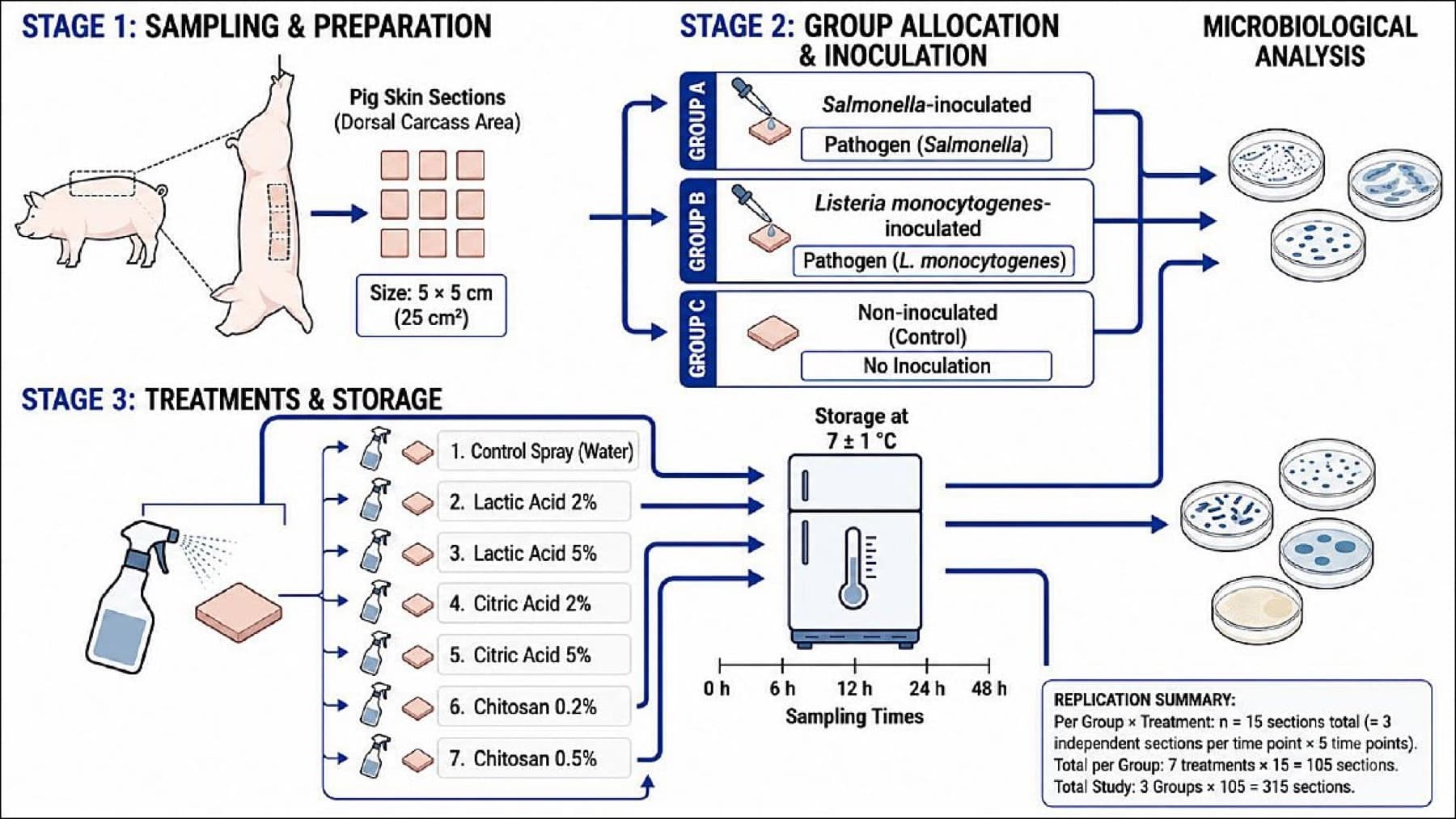 Experimental design diagram for testing chitosan decontamination on pig carcass surfaces