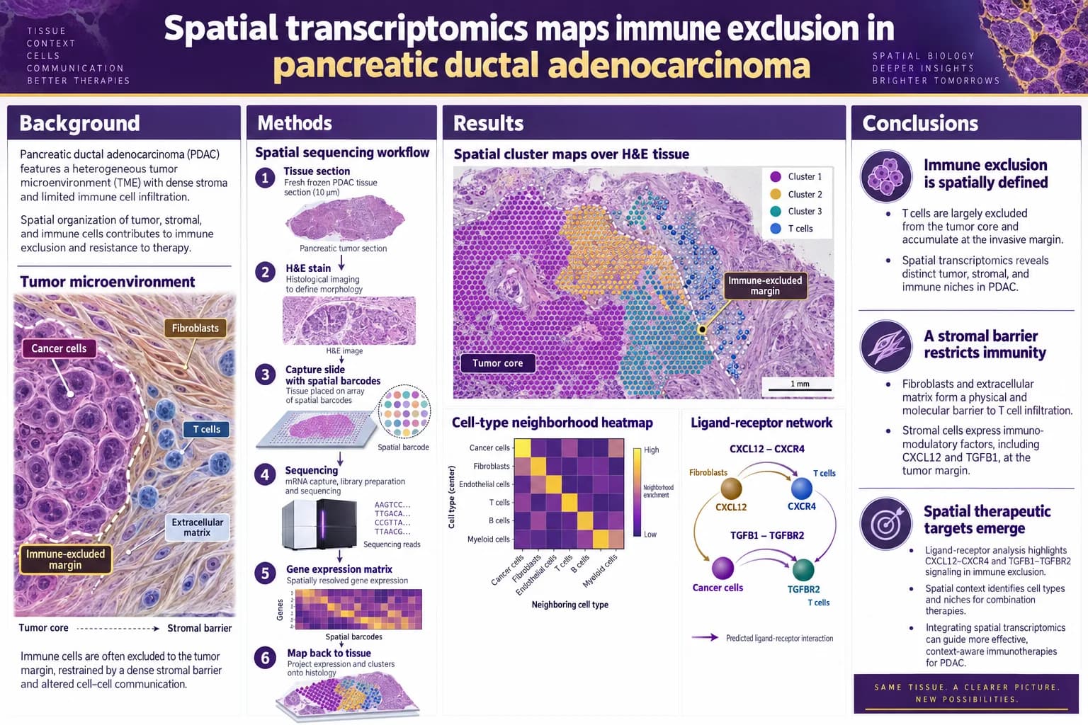 Tumor microenvironment — Spatial clusters on H&E, a neighborhood heatmap and a ligand–receptor network.