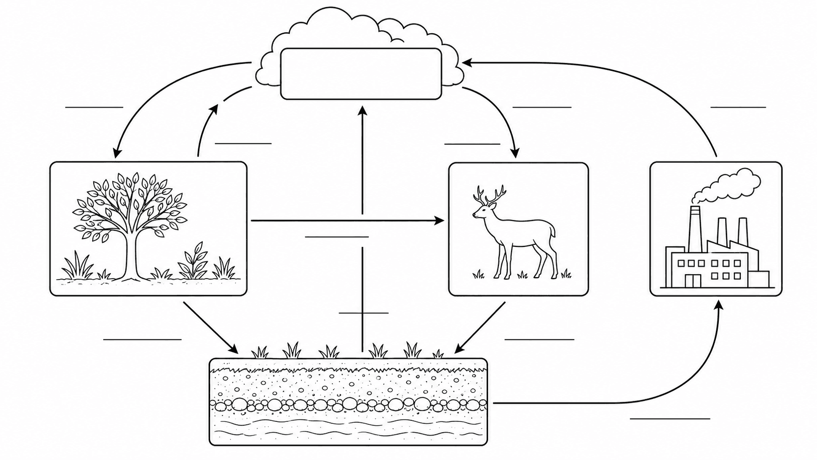 Scheda di etichettatura vuota — Diagramma del ciclo del carbonio vuoto con frecce e caselle vuote per gli studenti che inseriscono i nomi di ciascun serbatoio e processo.