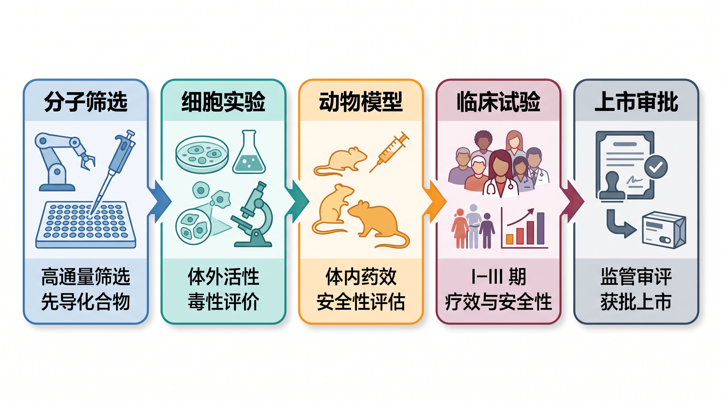 药物研发流程 — 适用于药理学与生物医学期刊的药物研发流程图形摘要。