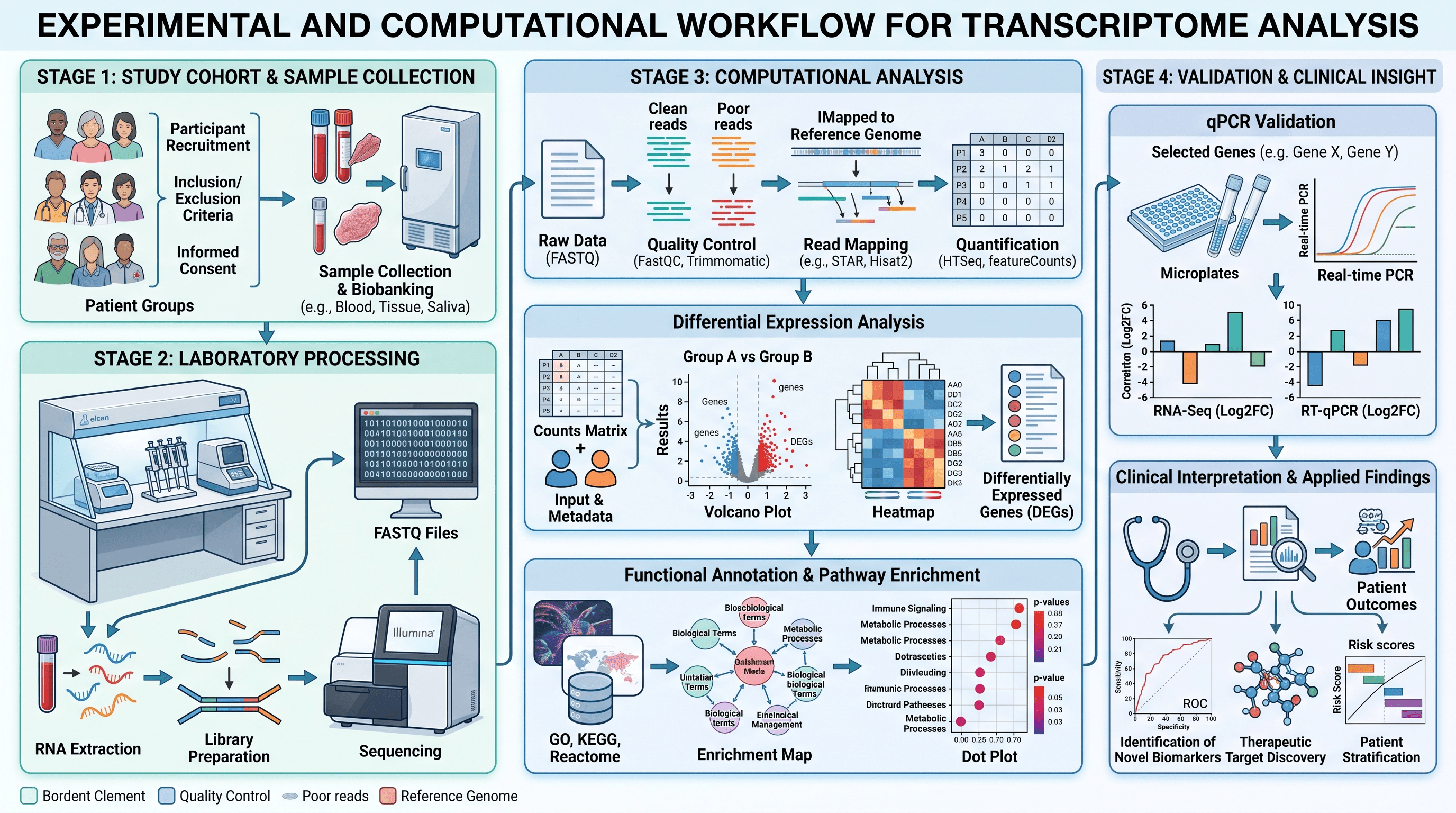 Methods Workflow Figure — A methods section as a workflow: recruitment and sample collection through sequencing, analysis and qPCR validation.