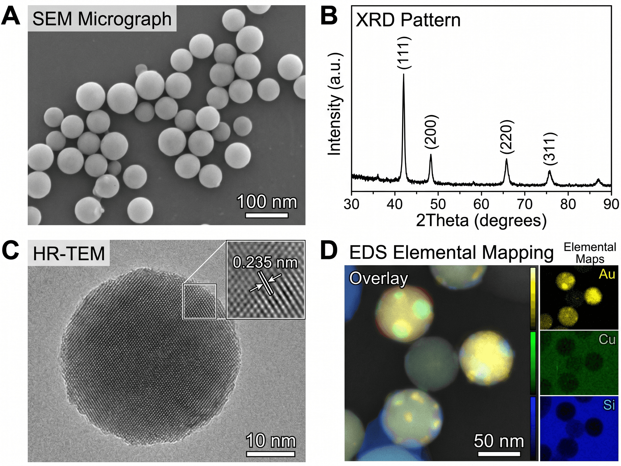 Panneau de caractérisation — Figure multipanneaux MEB, DRX, MET et EDS pour une section Résultats d'un article en science des matériaux.