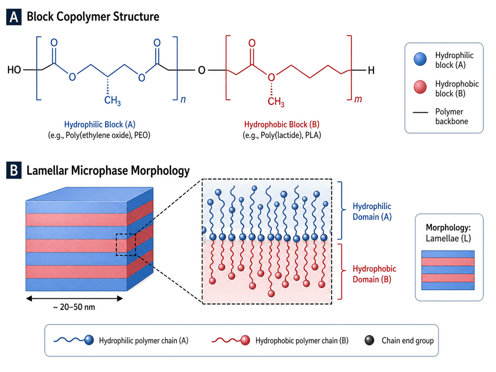 Figure de structure polymère — Structure chimique d'un copolymère à blocs avec morphologie de microséparation de phases auto-assemblée.