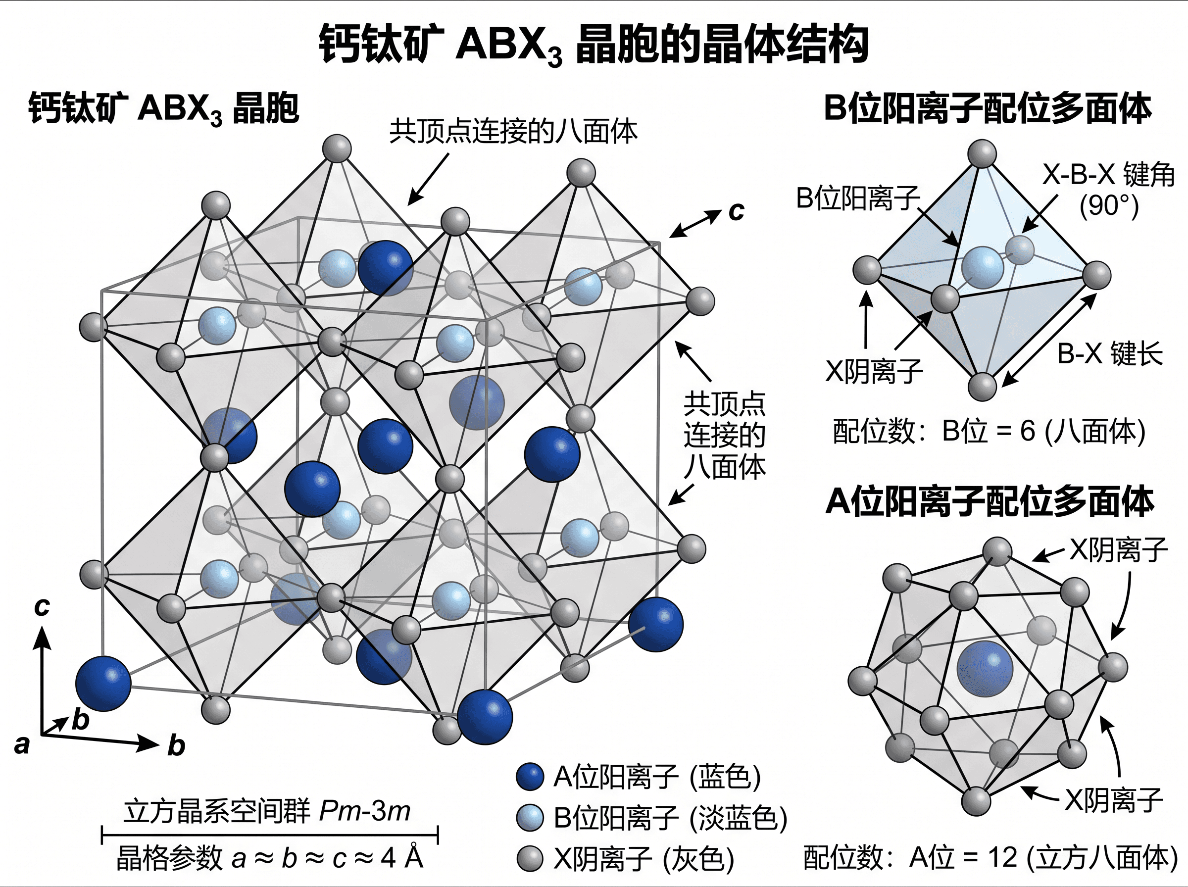 晶体结构图 — 带八面体与晶格轴标注的钙钛矿晶胞图，适用于固态化学期刊。