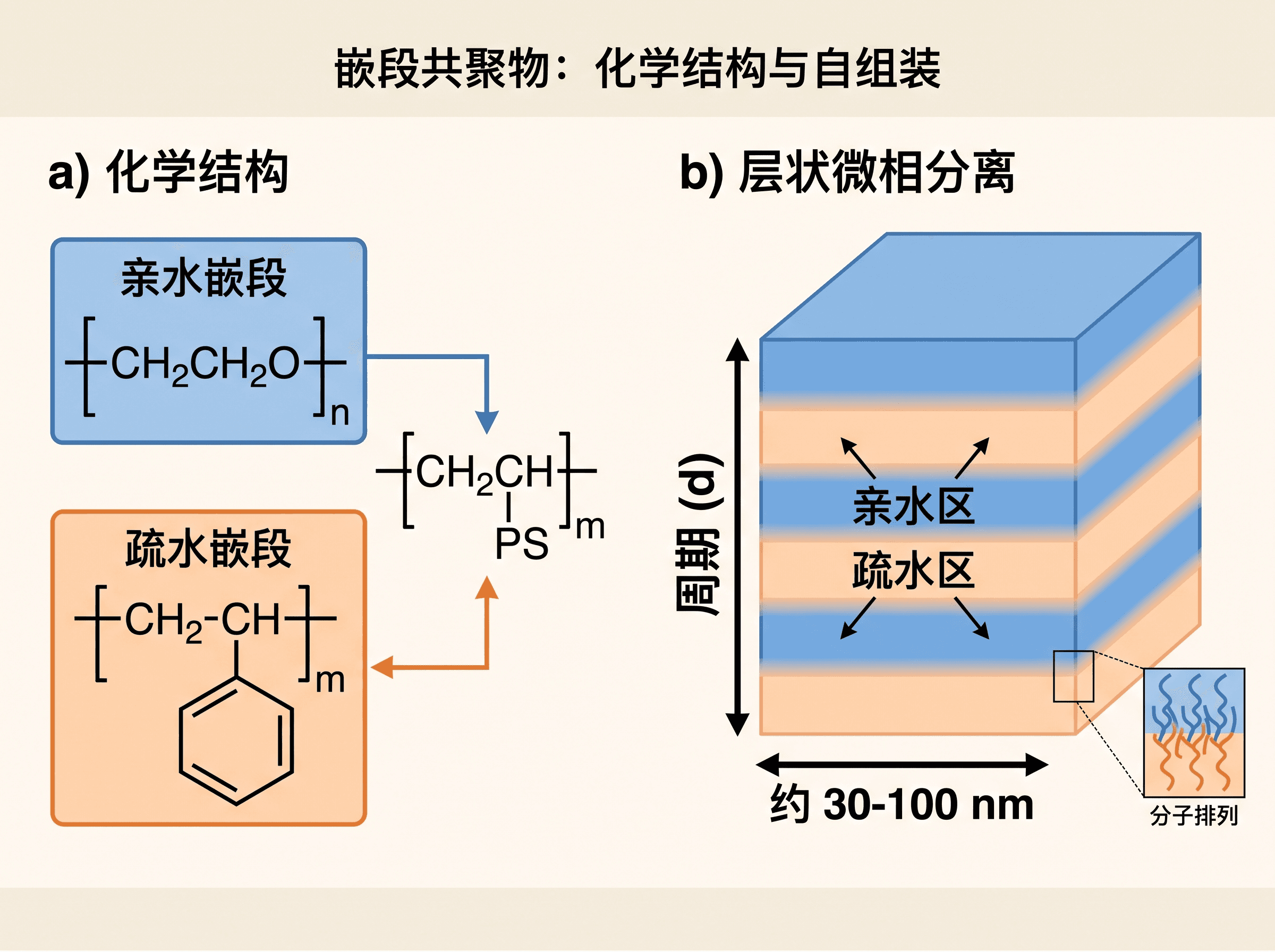 聚合物结构图 — 嵌段共聚物化学结构与自组装微相分离形貌示意图。