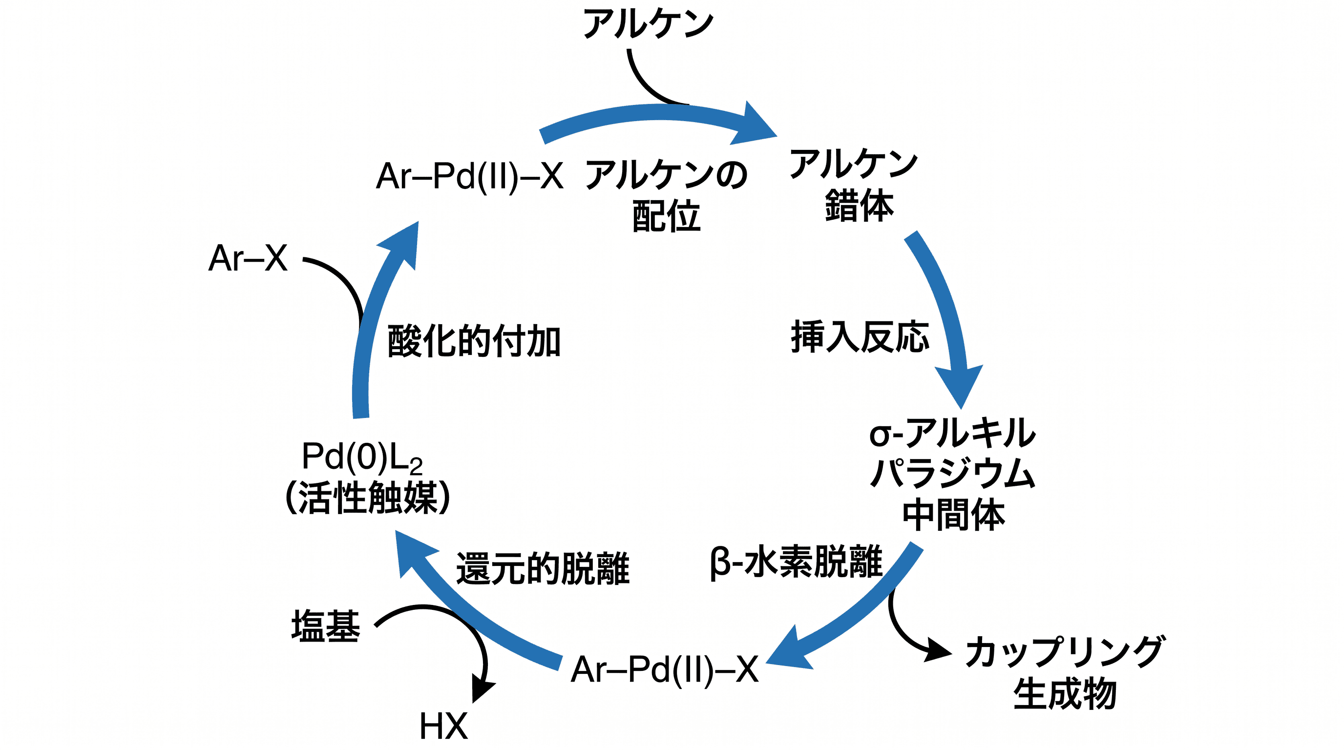 触媒サイクル — 化学・触媒ジャーナル向けに反応中間体とステップを示す環状触媒サイクル図。