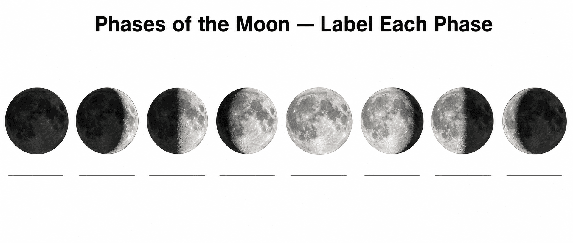 Diagramma vuoto da etichettare — Un diagramma delle fasi lunari vuoto che mostra le immagini della Luna in ordine ma senza etichette, per gli studenti che inseriscono i nomi di ciascuna fase.