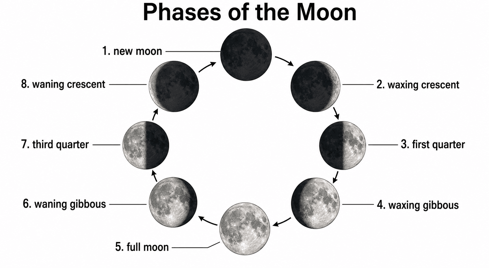 Diagramma completamente etichettato — Un diagramma completo delle fasi lunari con il nome di ogni fase etichettato, pronto per slide, poster e guide di studio.