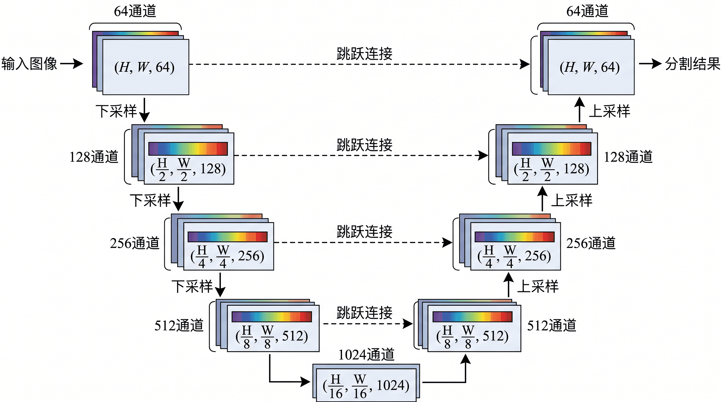U-Net — 收缩与扩张路径加跳跃连接，用于图像分割。