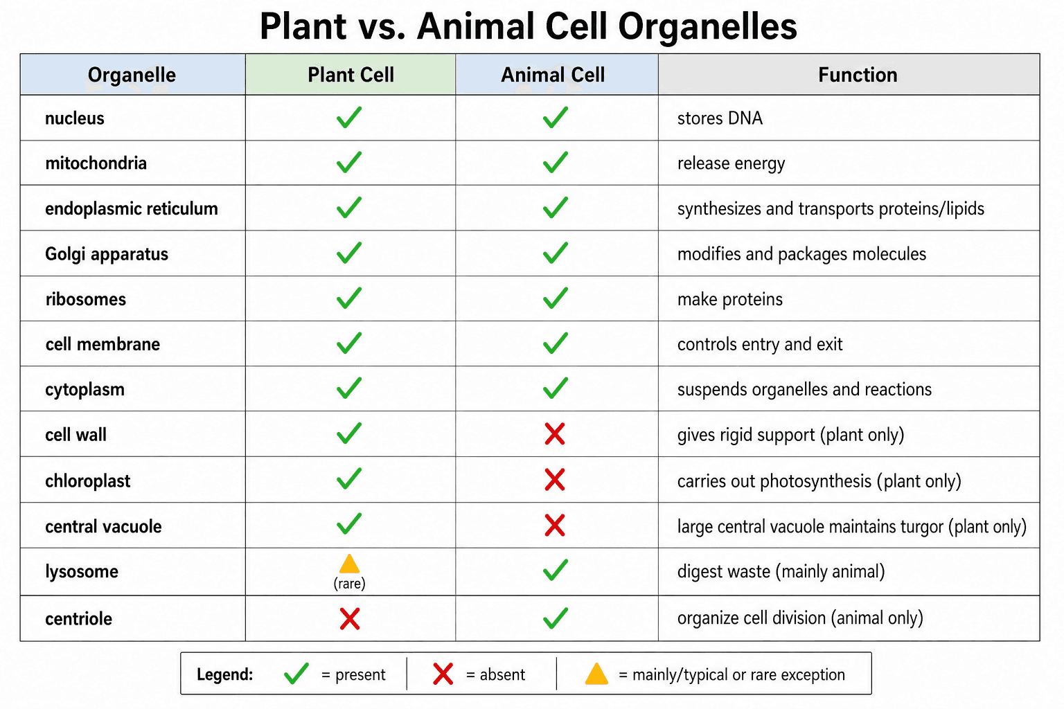 Organellen-Vergleich — Ein organellenweises Raster, das das Vorkommen in jeder Zelle mit einer einzeiligen Funktion zeigt.