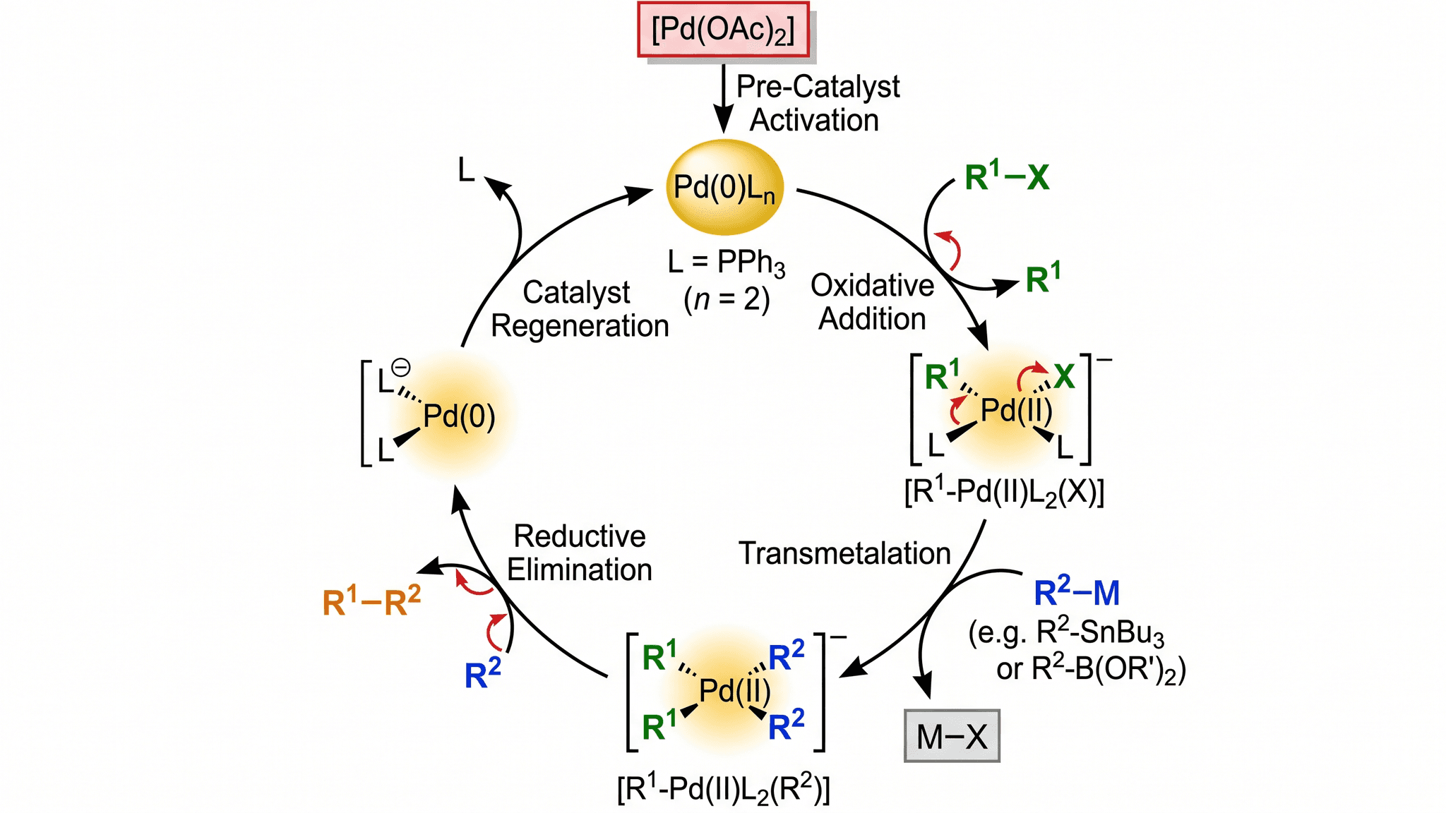 Ciclo Catalítico — Ciclo catalítico de acoplamiento cruzado catalizado por paladio con adición oxidativa, transmetalación y eliminación reductora.