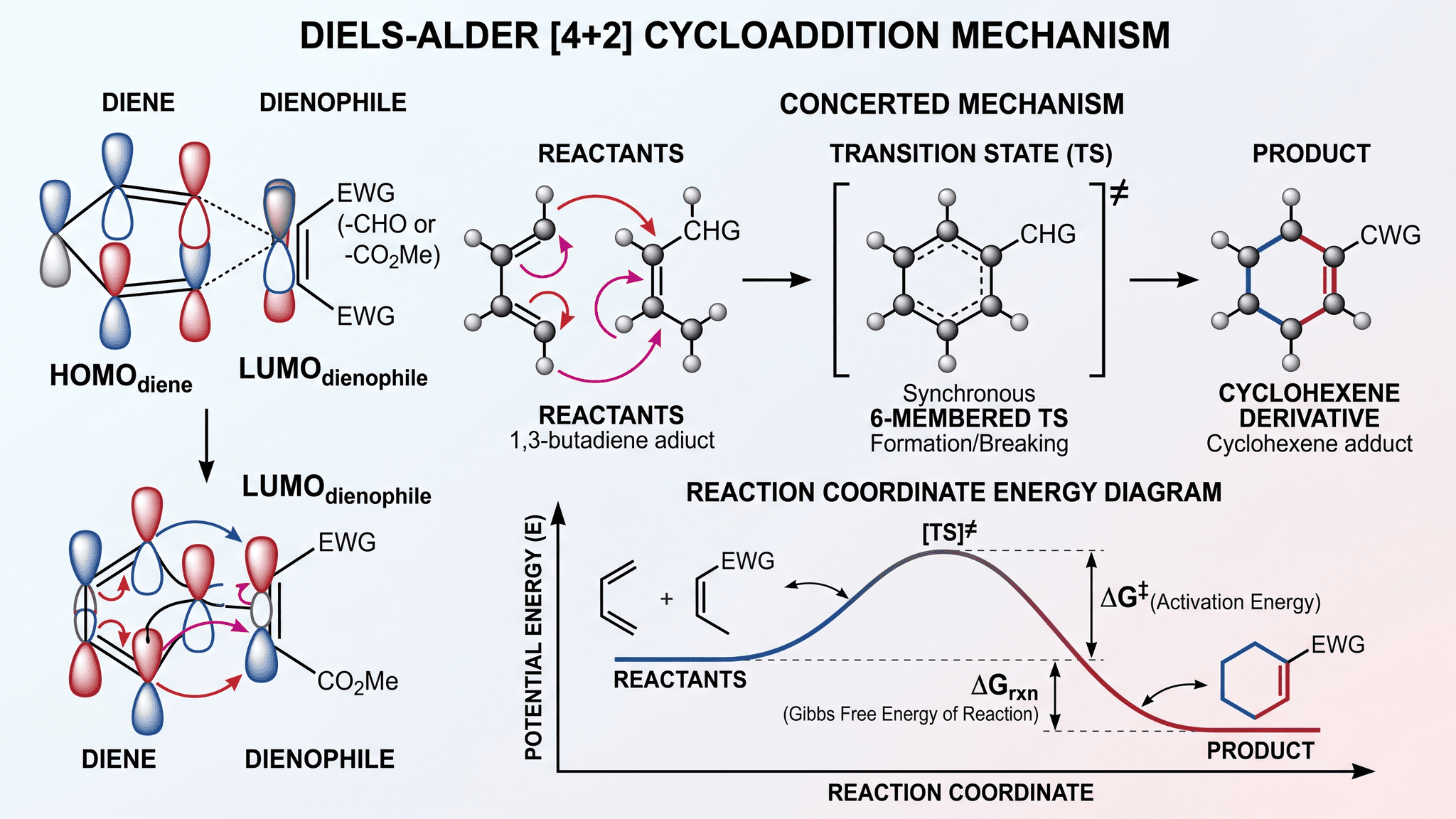 Cicloadición de Diels-Alder — Mecanismo pericíclico concertado [4+2] de Diels-Alder a través de un estado de transición cíclico de seis miembros.