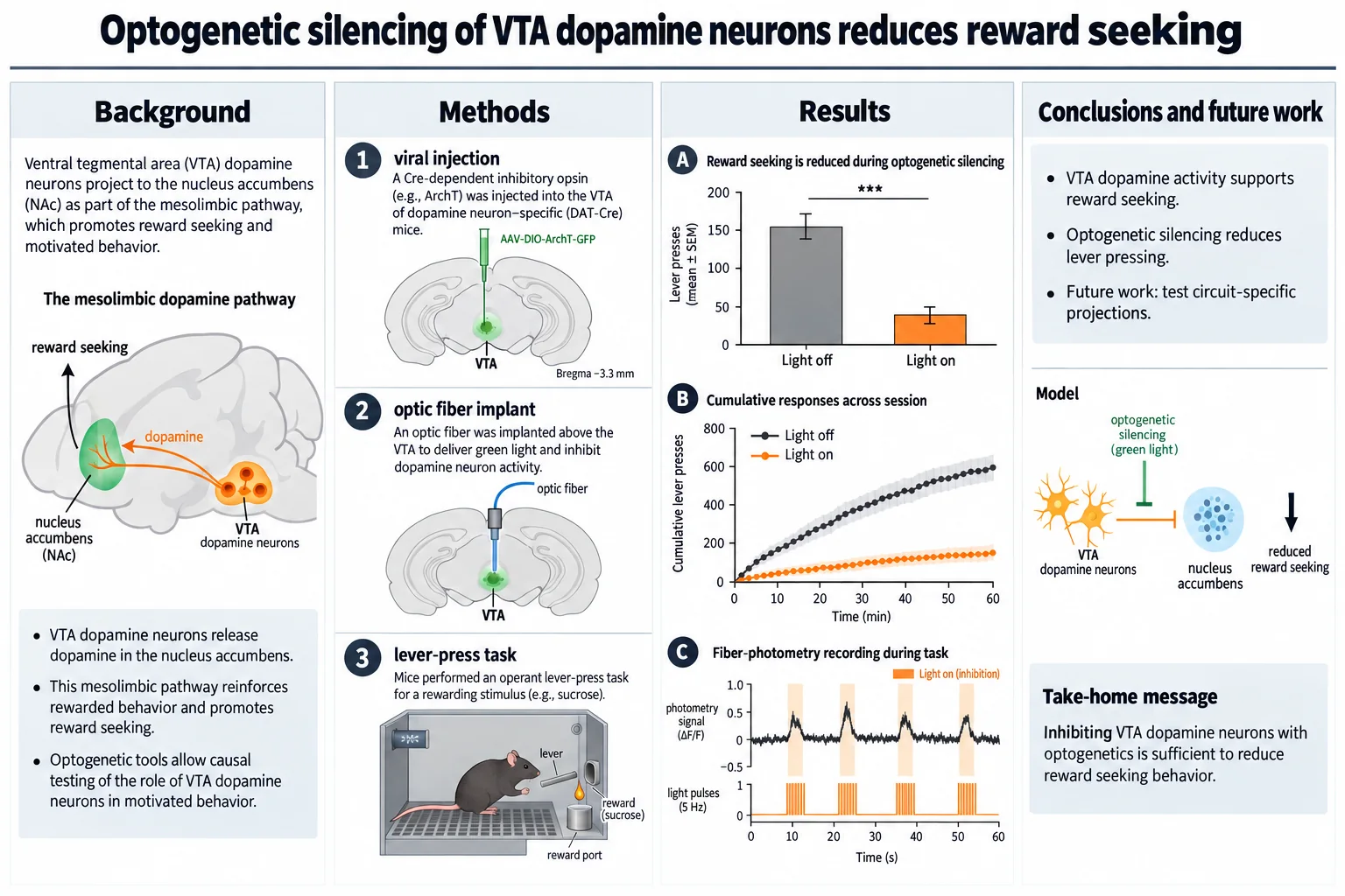 Optogenetics and reward — VTA silencing with a pathway diagram, lever-press data and photometry traces.