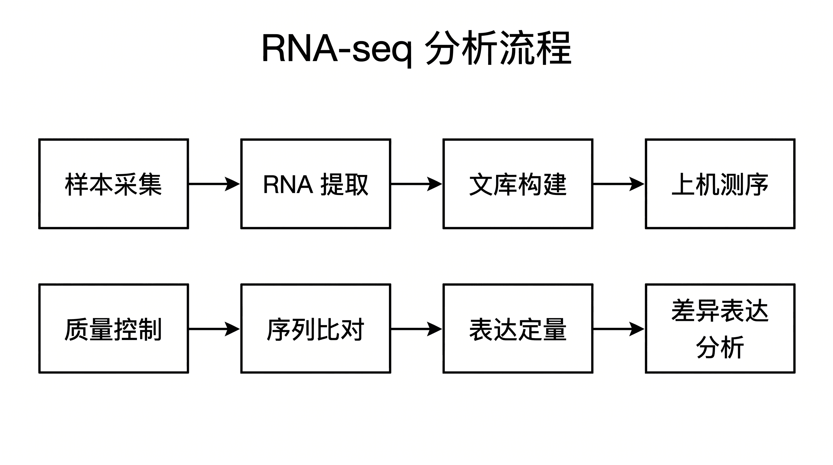 RNA-seq 分析流程 — 从 RNA 提取到差异表达分析的生物信息学工作流程图。