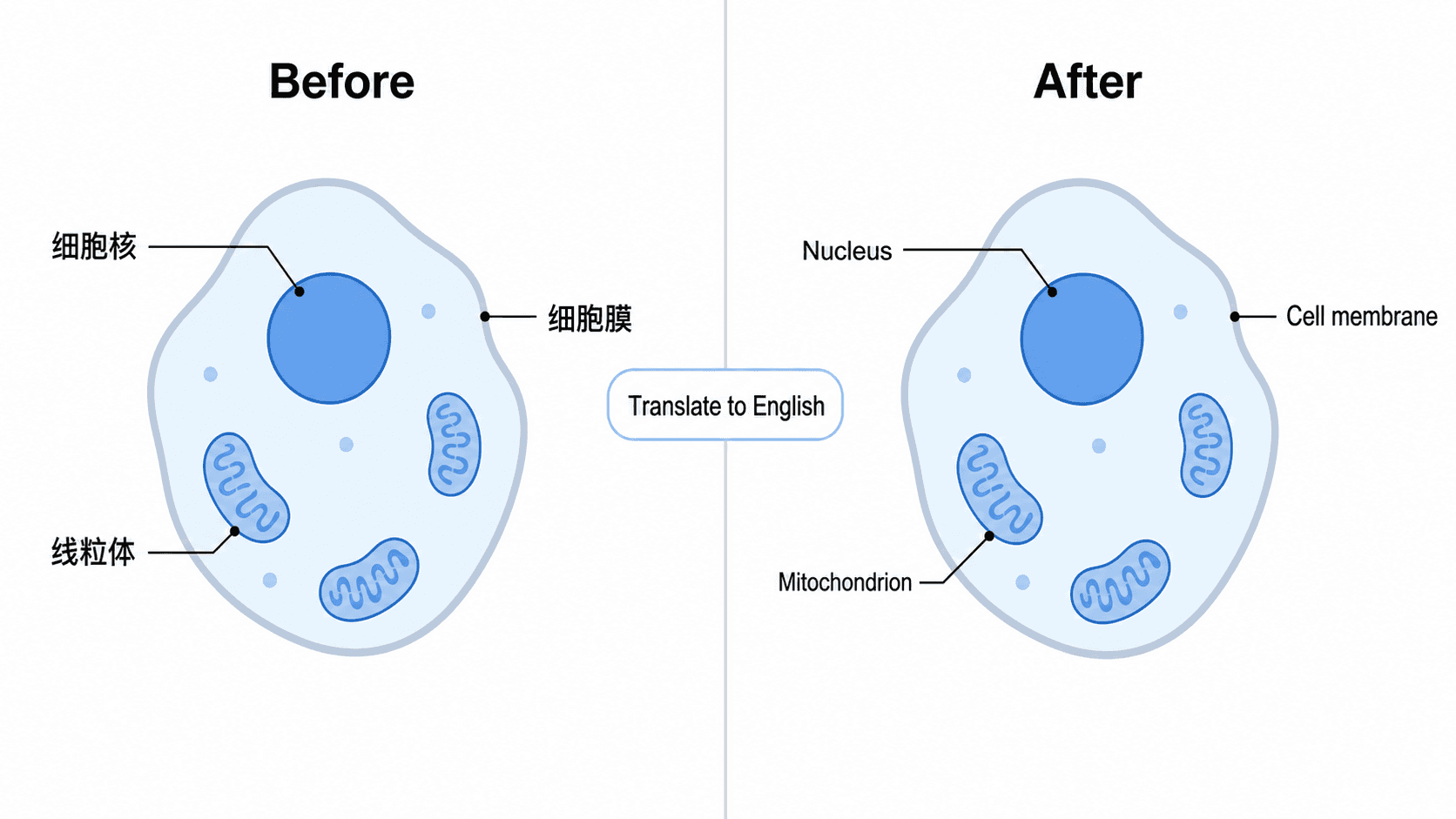 如何用 AI 翻译图表标签（制作多语言图表）