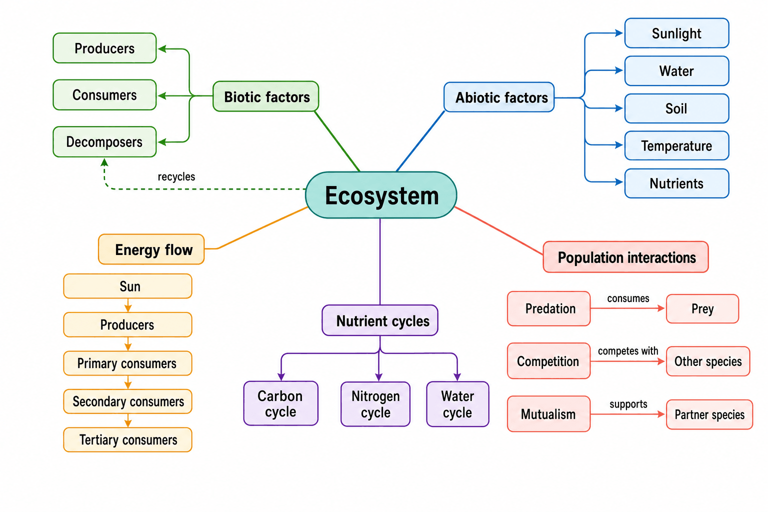 Aufbau eines Ökosystems — Biotische und abiotische Faktoren, Trophieebenen und Stoffkreisläufe.