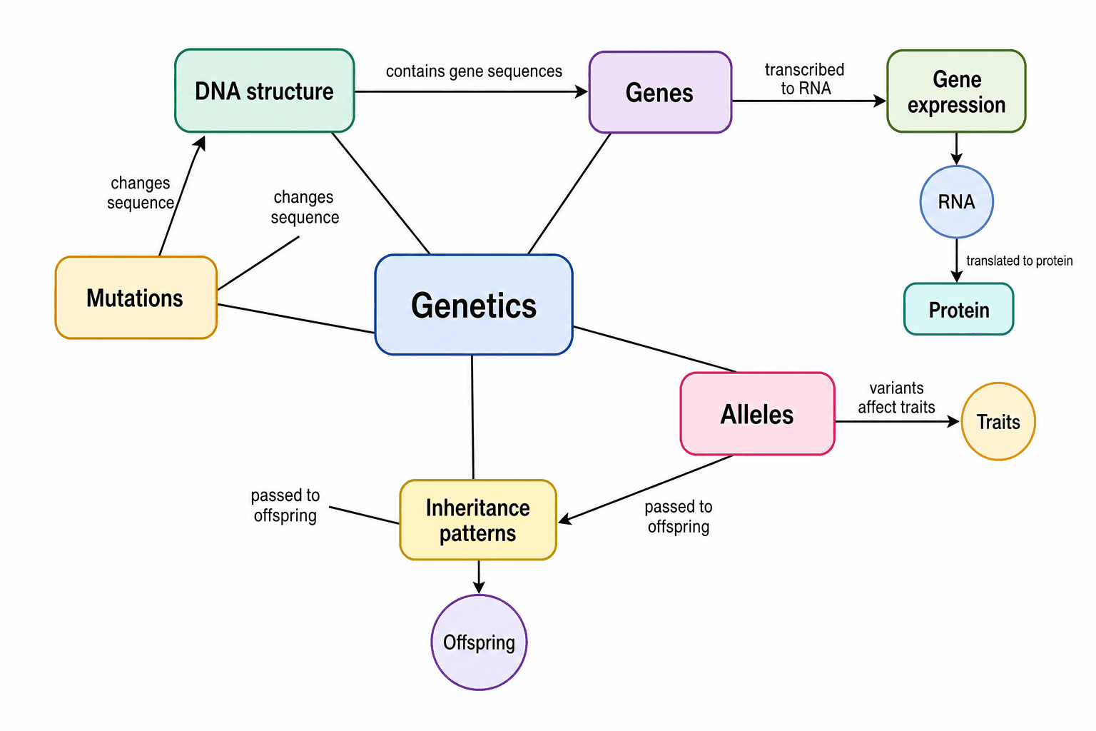 Genetik — DNA, Gene, Allele, Erbgänge und Genexpression.