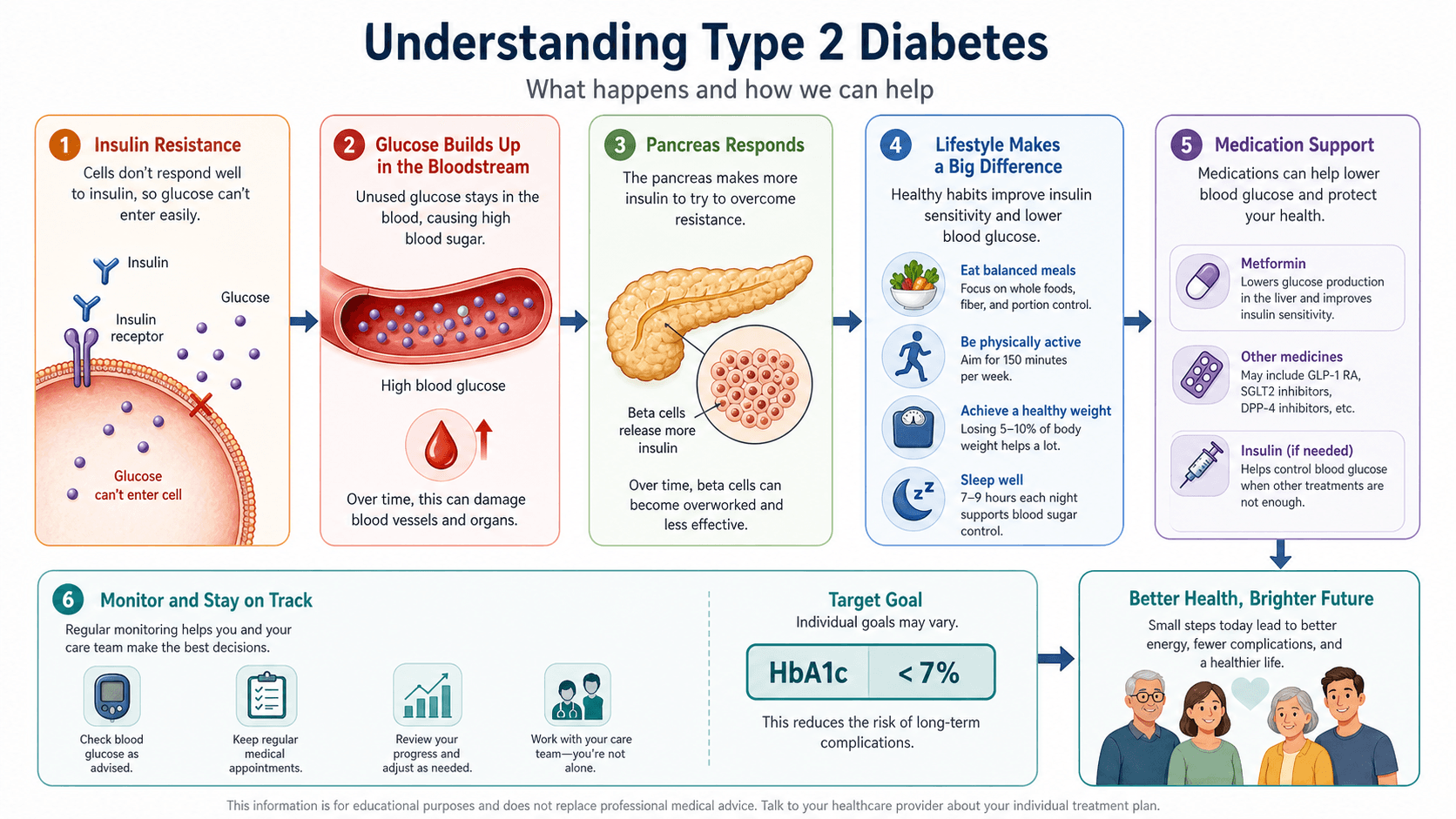 biomedical scientific illustration: Patient education infographic explaining type 2 diabetes, insulin resistance, glucose monitoring, lifestyle support, and medication care.