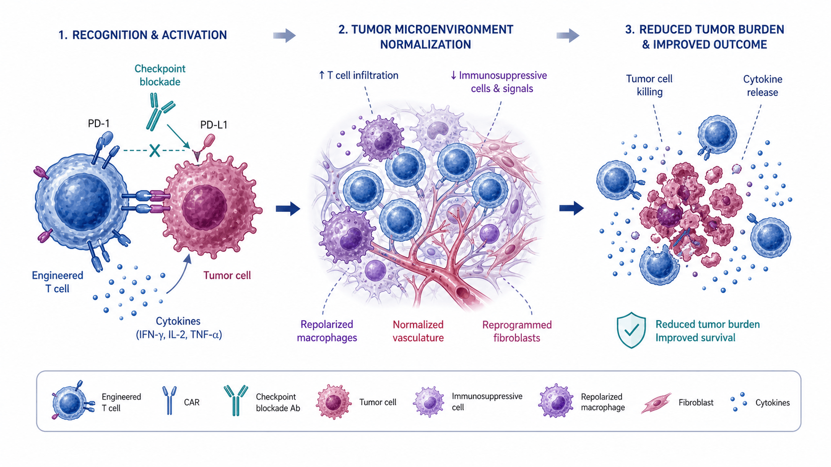 biomedical scientific illustration: Biomedical graphical abstract showing engineered T cells, tumor recognition, checkpoint blockade, cytokine release, and tumor reduction.