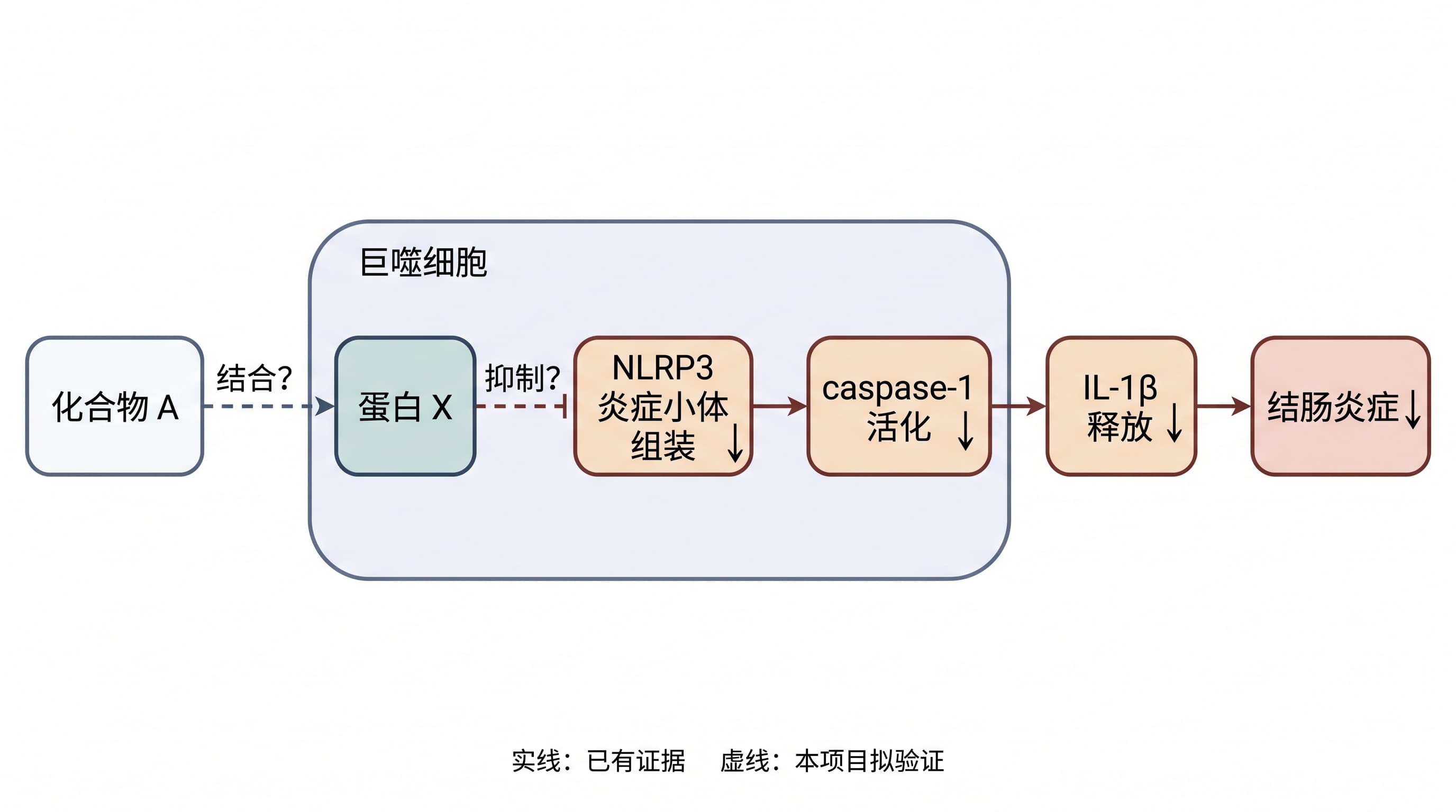 How to Draw a Scientific Hypothesis Diagram for a Grant Proposal How to Draw a Scientific Hypothesis Diagram for a Grant Proposal