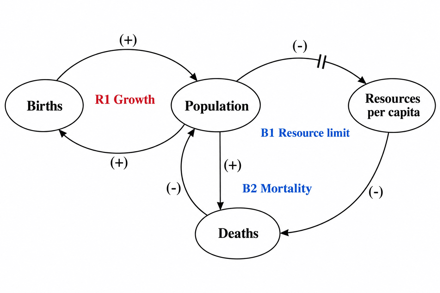 Generatore di diagrammi dei cicli causali — Trasforma variabili e nessi causali con segno in un diagramma dei cicli causali con anelli R/B e segni di ritardo.