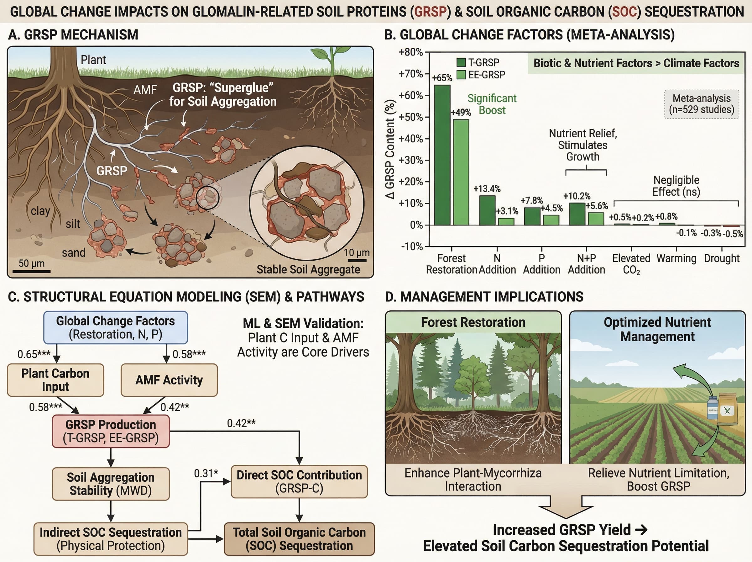 Environmental Science Diagrams: Soil Processes, Carbon Cycles & Ecosystem Illustrations with AI Environmental Science Diagrams: Soil Processes, Carbon Cycles & Ecosystem Illustrations with AI