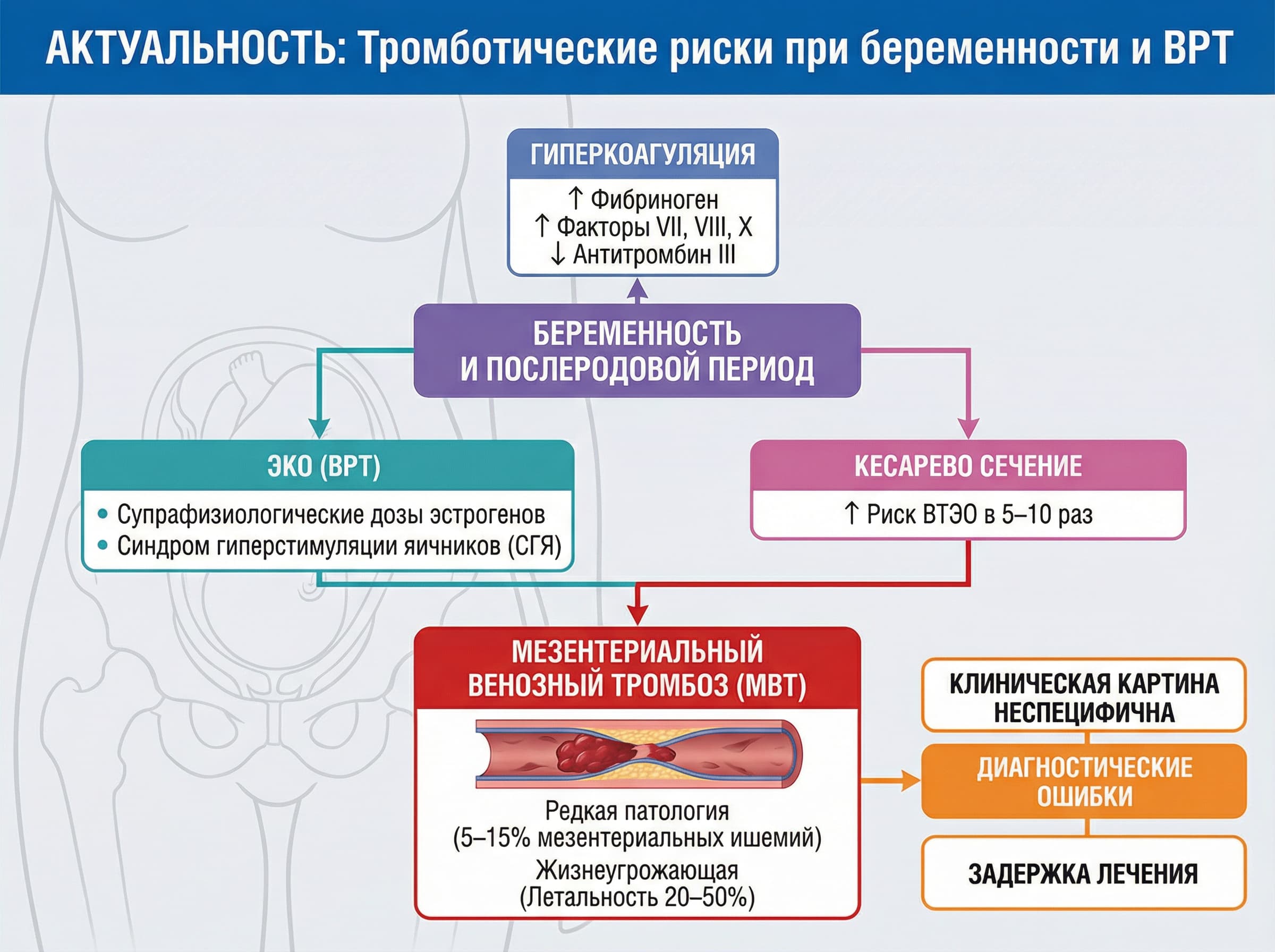 biomedical scientific illustration: Conference figure on hypercoagulability in pregnancy and postpartum states, with IVF as an additional risk factor.