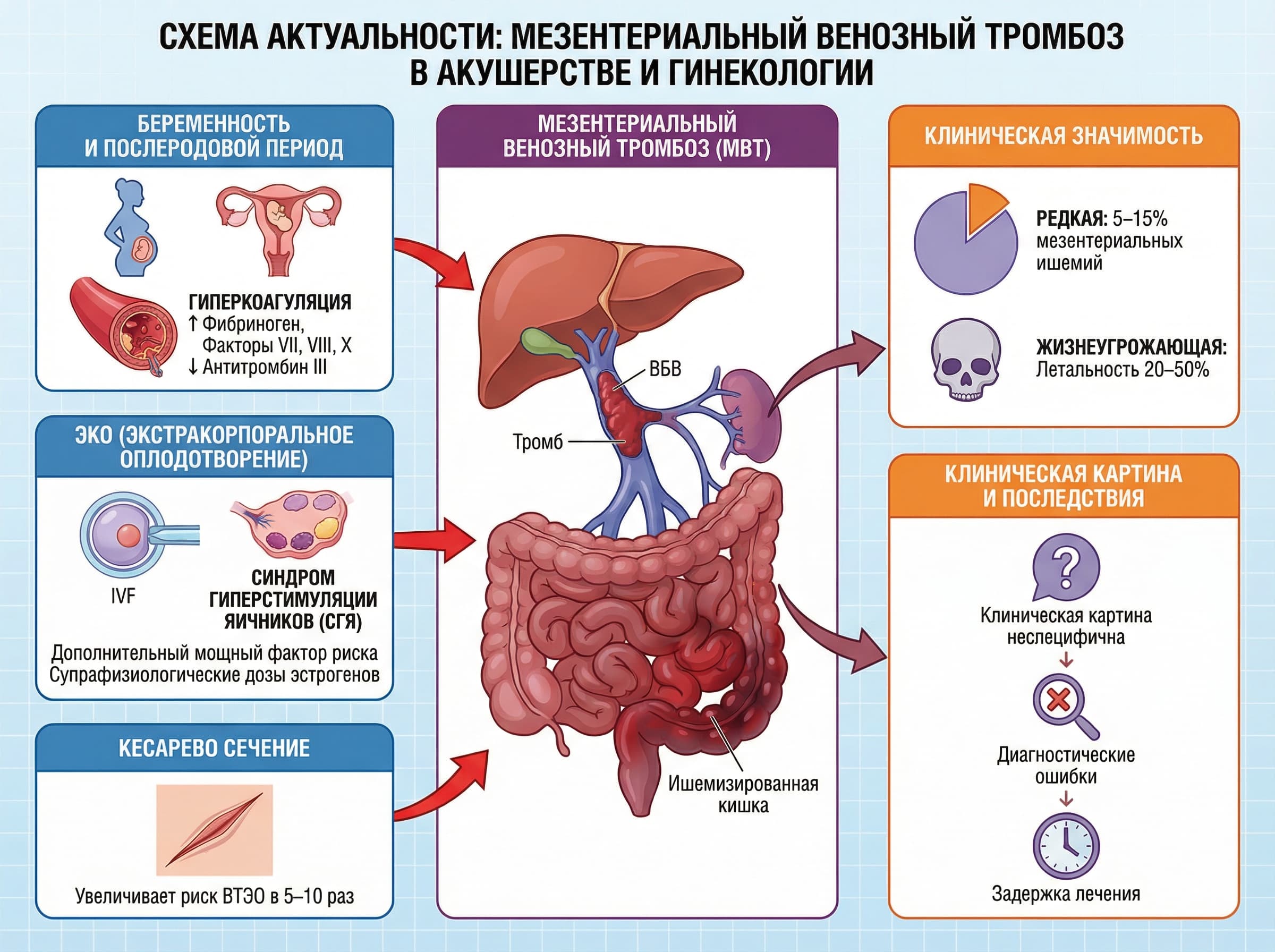 biomedical scientific illustration: Pregnancy, IVF, and thrombosis risk visualized as a clinical relevance figure for a medical conference audience.