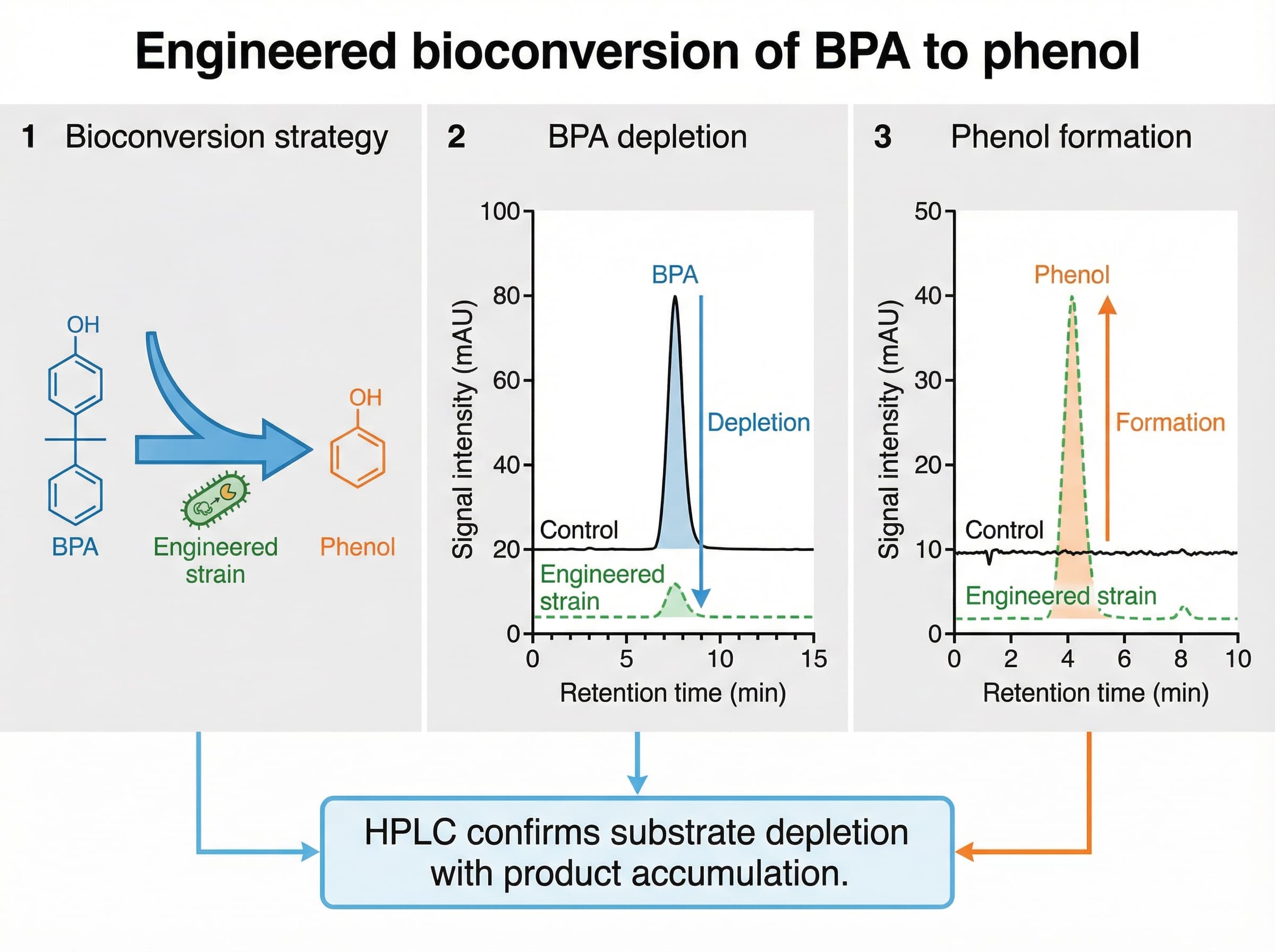 biomedical scientific illustration: Create a scientific figure panel suitable for a microbiology and synthetic biology conference poster, adhering to a BioRender-style aesthetic and publication-qualit