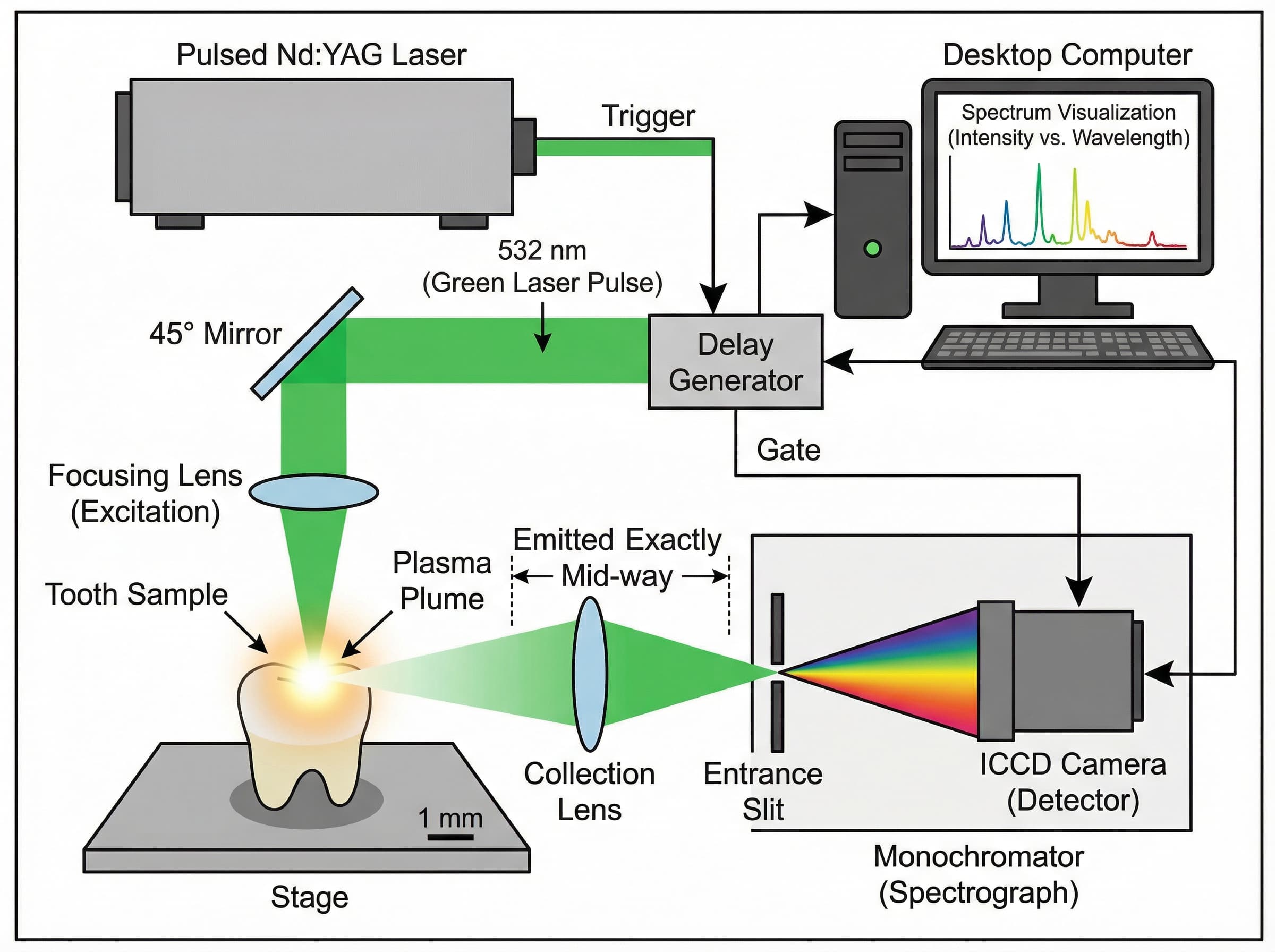 biomedical scientific illustration: Experimental setup schematic showing a pulsed Nd:YAG laser, 45-degree mirror, focusing lens, and plasma spot on tooth material.