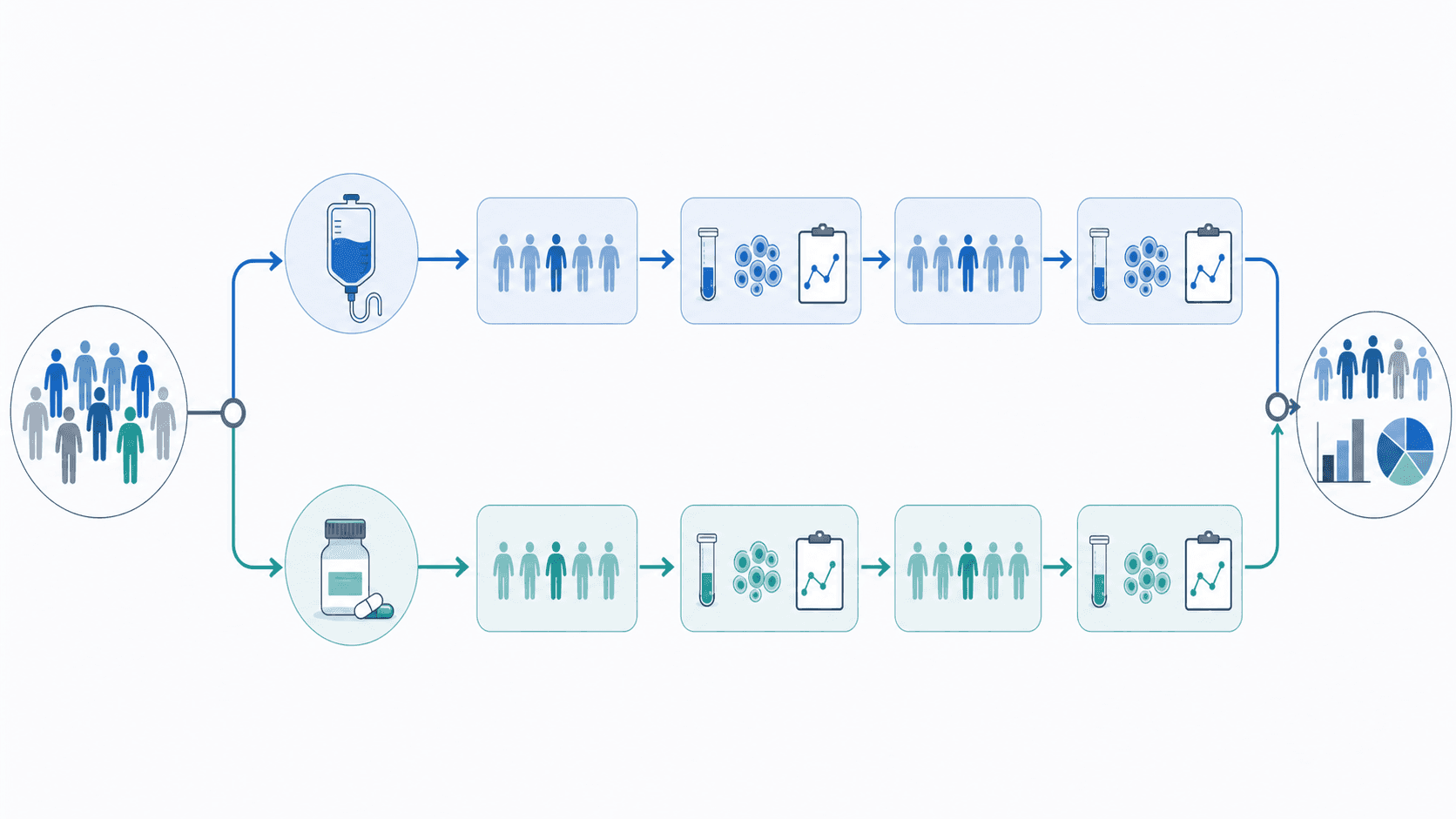 How to Make an Experimental Workflow Diagram for a Paper How to Make an Experimental Workflow Diagram for a Paper