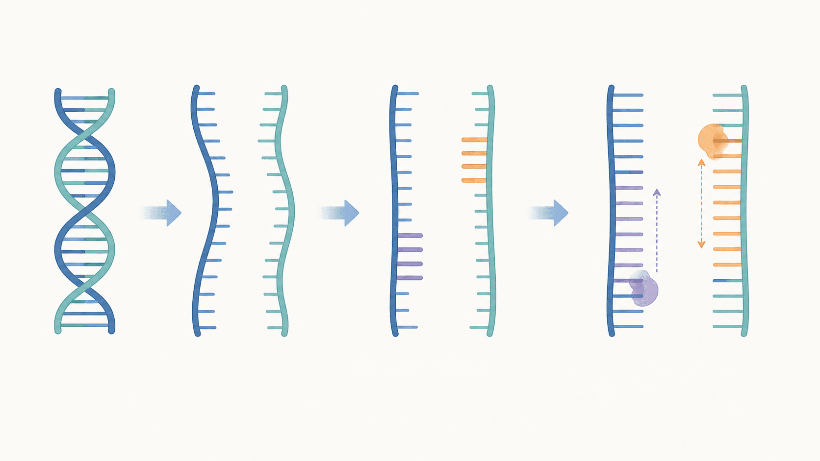 AI로 PCR 다이어그램 만드는 법: 단계별 완벽 가이드 (2026) AI로 PCR 다이어그램 만드는 법: 단계별 완벽 가이드 (2026)