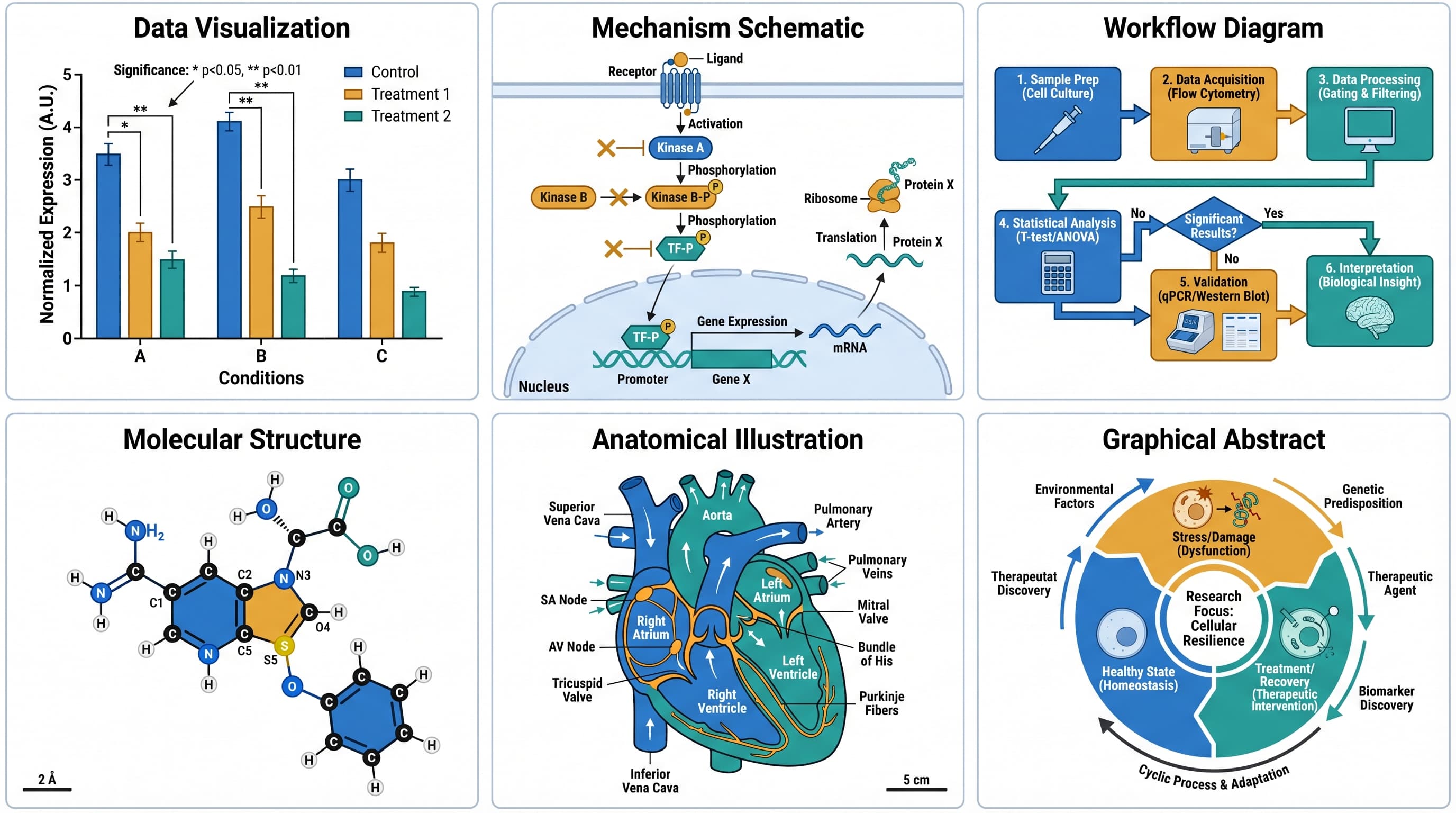 Что такое научная графика? Типы, применение и как её создавать Что такое научная графика? Типы, применение и как её создавать