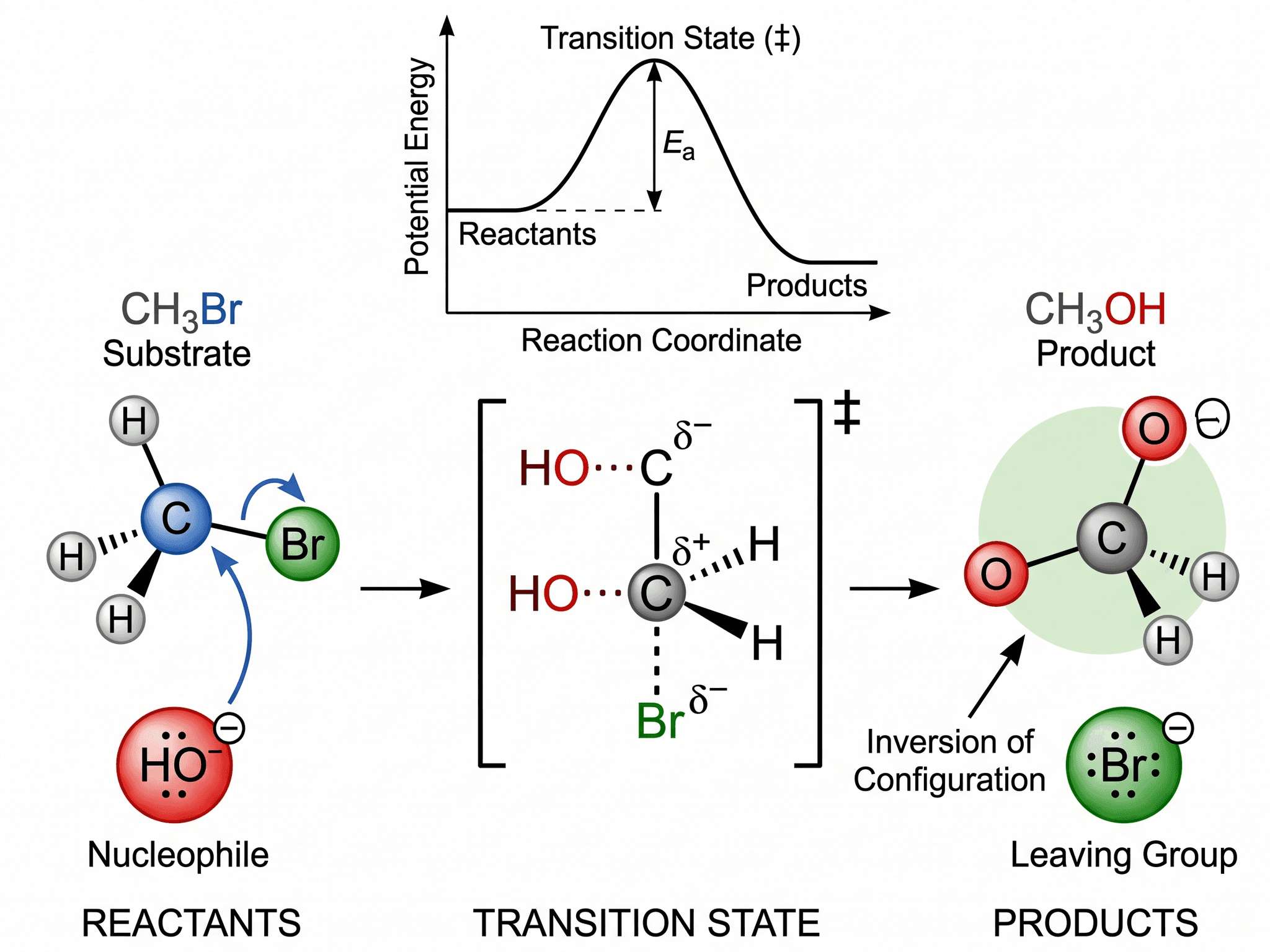 Chemistry Diagram Generator — Create chemistry figures, TOC graphics, and molecular visuals