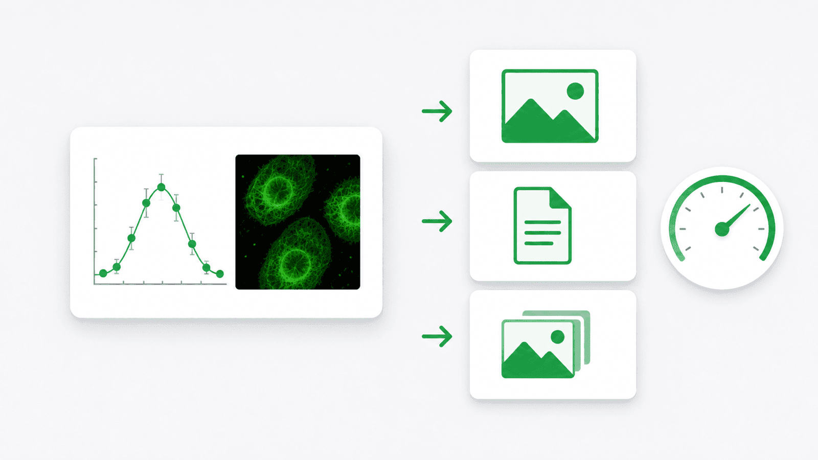 Image Converter — Convert scientific images between PNG, JPG, and other formats online.