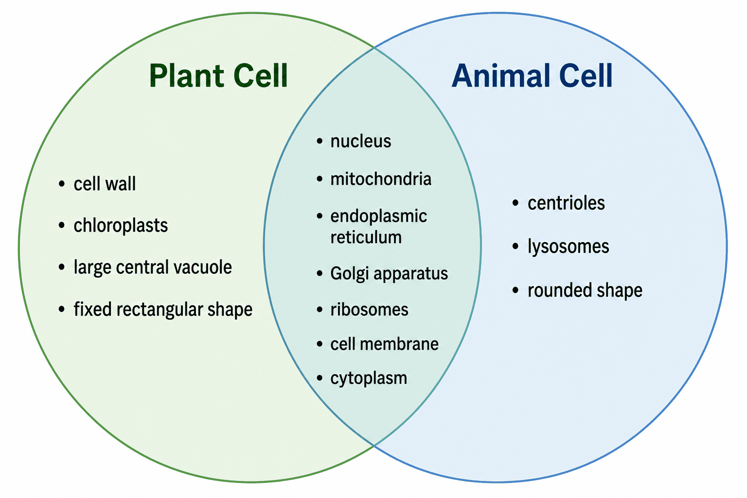 Plant vs Animal Cell Diagram — Compare plant and animal cells as a Venn diagram or side by side.