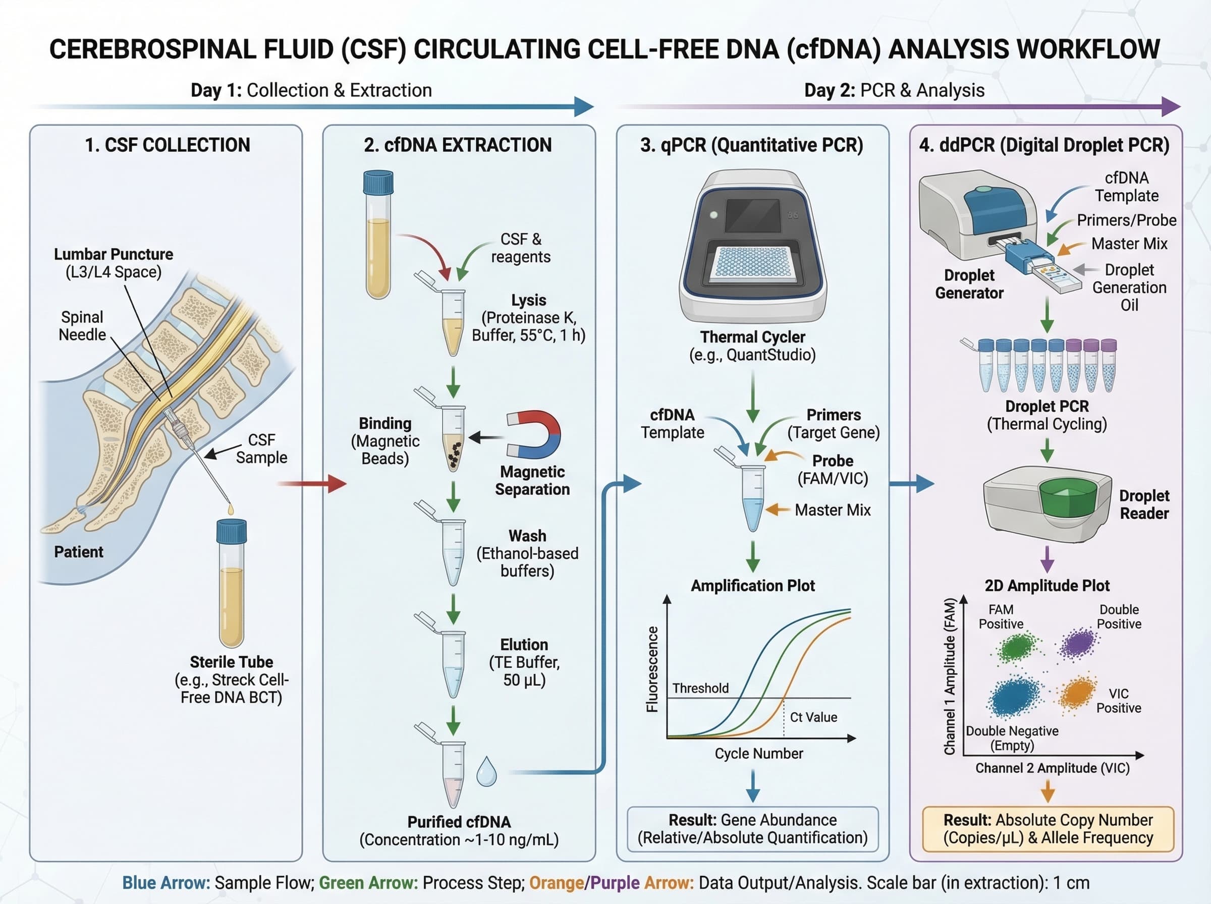 A Workflow Detailing Cerebrospinal Fluid CSF Collection SciDraw a-workflow-detailing-cerebrospinal-fluid-csf-collection-scidraw
