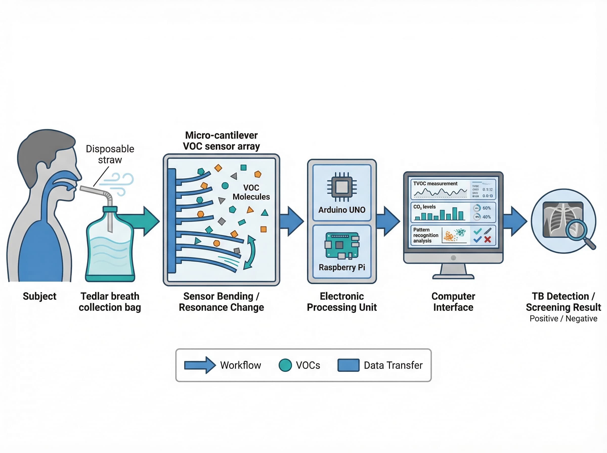 Arduino Straw 1) Endogenous Mechanism: Neutrophil-derived Fgf4 is an es... | SciDraw ...